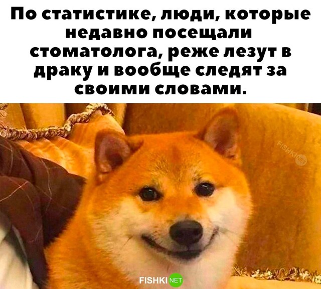 Картинка дня 18-11-2023