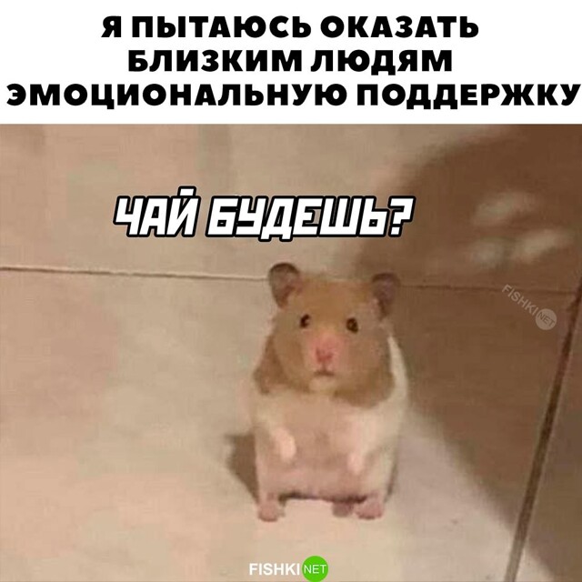 Картинка дня 22-11-2023