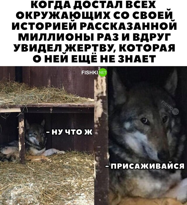 Картинка дня 23-11-2023