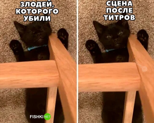 Картинка дня 25-11-2023