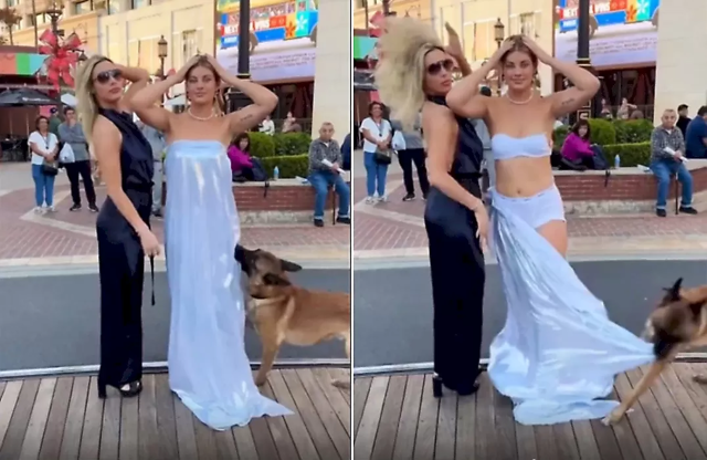 Пёс снял платье с девушки во время селфи