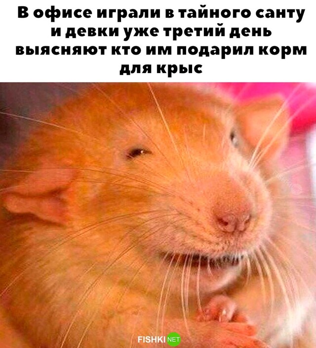 Картинка дня 07-12-2023