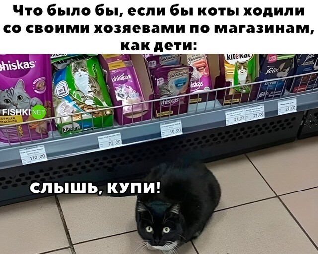 Скрины из соцсетей 