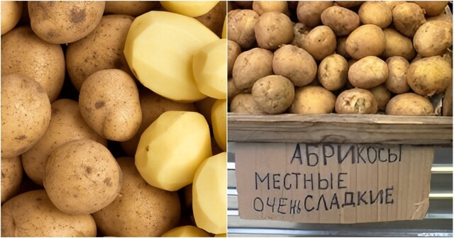 Ученые предлагают пересмотреть статус картофеля как овоща
