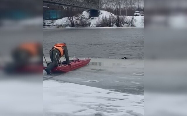В Башкирии спасатели вытащили спаниеля, провалившегося под лед реки Белой