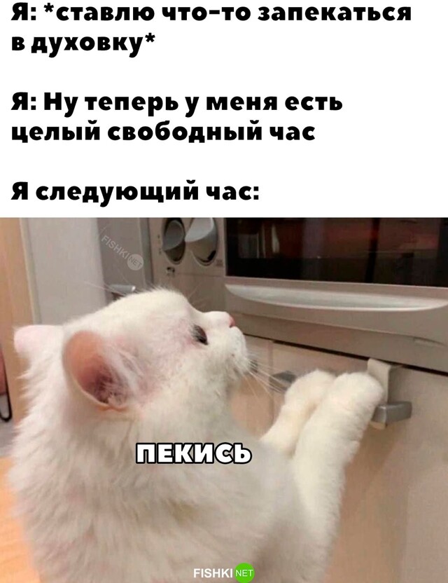 Картинка дня 23-12-2023