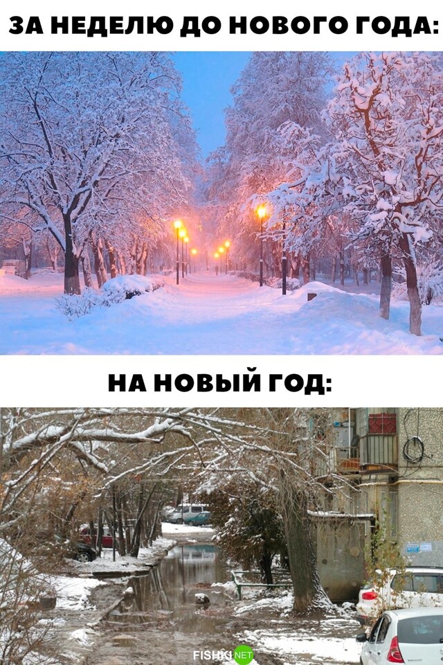 Картинка дня 26-12-2023
