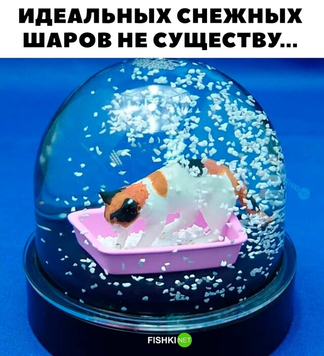 Картинка дня 28-12-2023