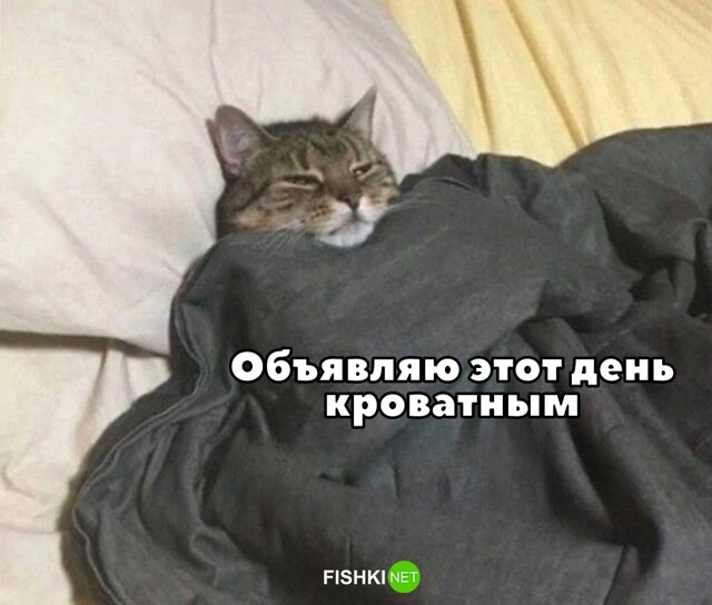 Картинка дня 09-01-2024