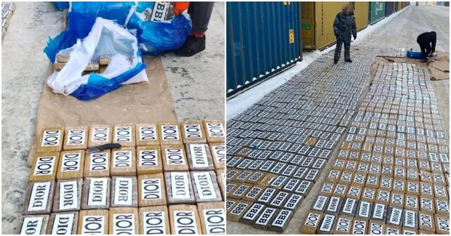 Более тонны кокаина обнаружили таможенники в порту Санкт-Петербурга