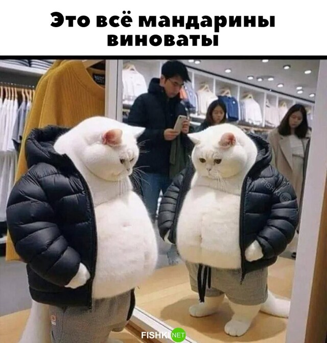 Картинка дня 11-01-2024
