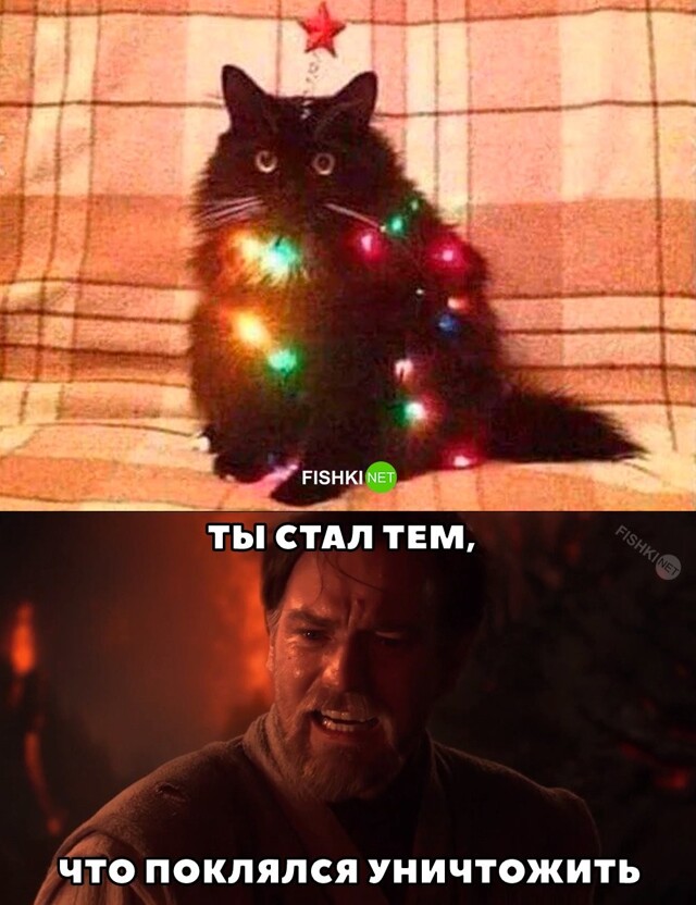 Картинка дня 12-01-2024