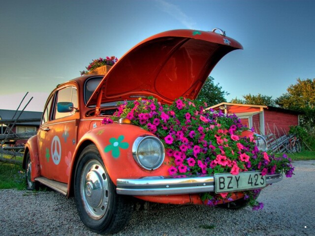 АвтоВсячина