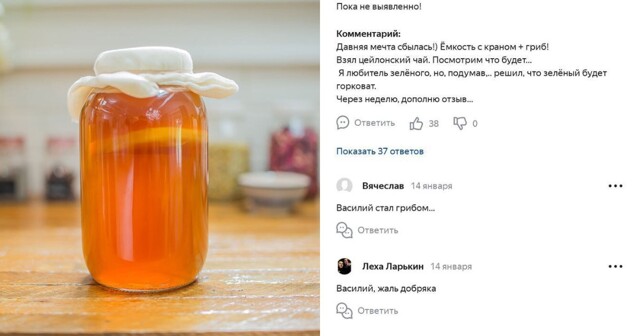 "Если гриб взял вас в заложники...": в соцсетях беспокоятся о Василии, который пообещал написать отзыв о чайном грибе - и пропал