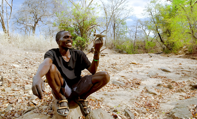 Как некоторые племена Африки используют на охоте миниатюрных птиц