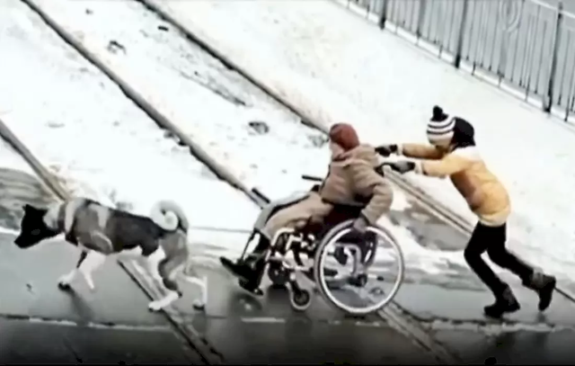 В Екатеринбурге мальчик с собакой спасли пенсионерку на инвалидной коляске, которая застряла на рельсах