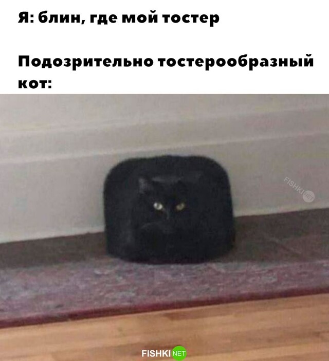 Картинка дня 31-01-2024