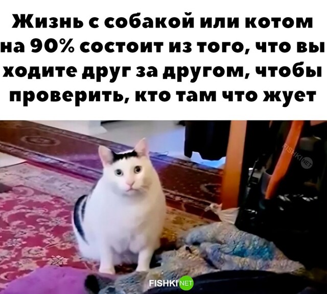 Картинка дня 03-02-2024