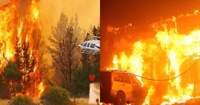 Катастрофические лесные пожары охватили Чили