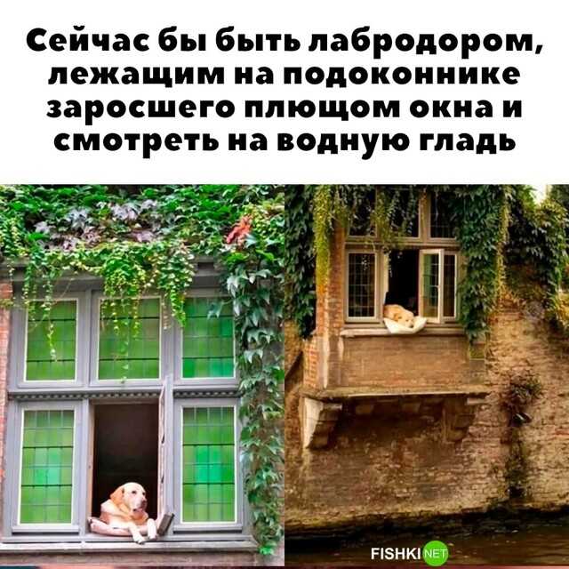 Картинка дня 12-02-2024