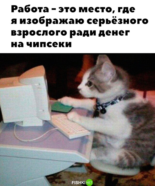 Ну и корм для кота