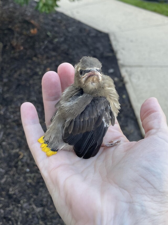 На общую тему  