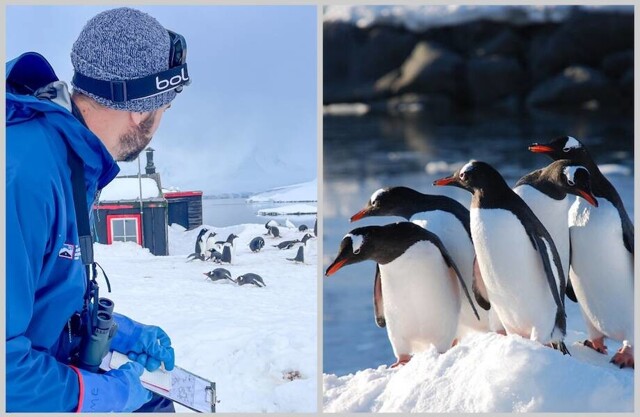 Считать пингвинов и встречать туристов: как работает почта в Антарктиде