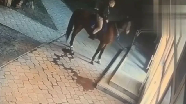 Покупательница заскочила на лошади в ночной магазин в Симферополе «прикупить водки»