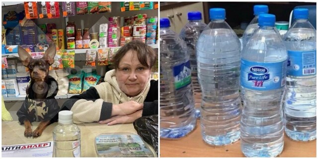 В Ростове-на-Дону продавщице с пёсиком грозит уголовное дело