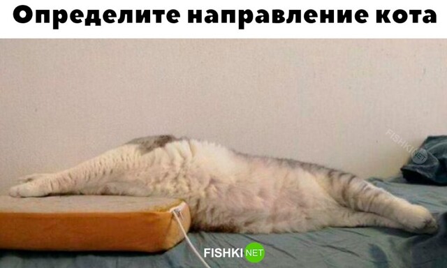 Не ищите здесь смысл. Здесь в основном маразм
