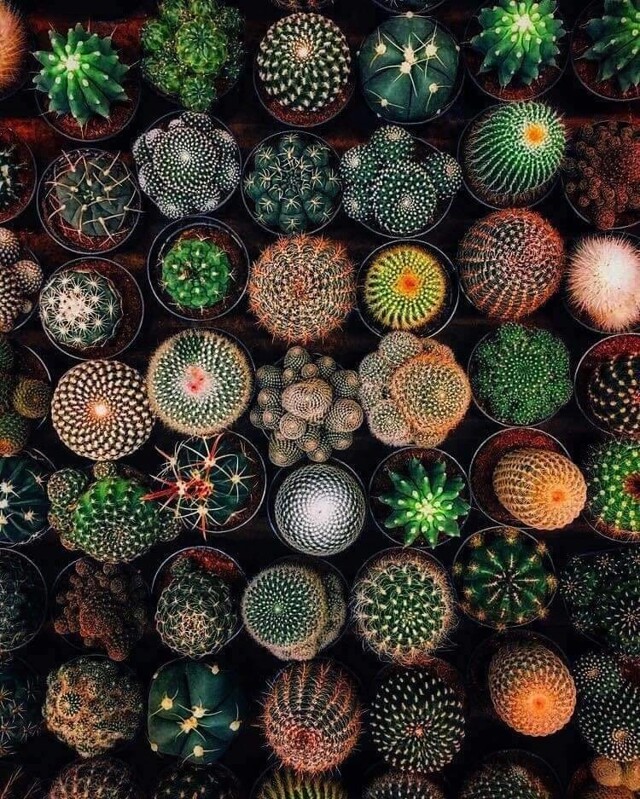 Всё вразнобой 