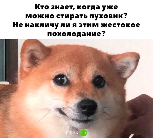 Скрины из соцсетей 