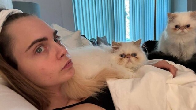 В США при пожаре спасли кошек модели и актрисы Кары Делевинь