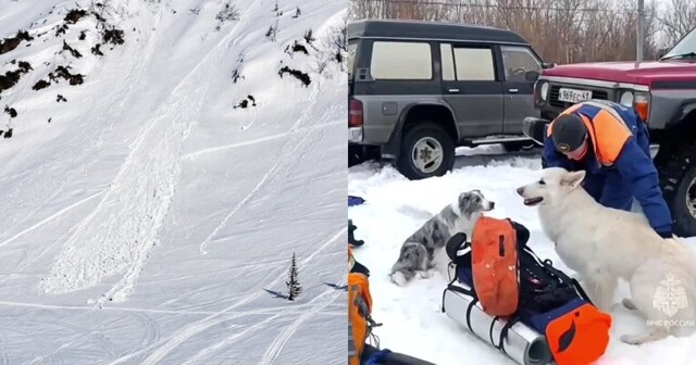 Туристов на Камчатке накрыла лавина - из 11 человек двое пропали без вести