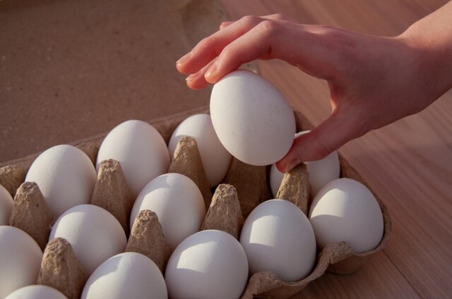 Сколько стоят куриные яйца в мире. Сравниваем цены