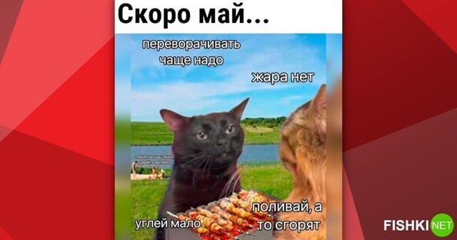 Мемы из соцсетей. Свежак за 2 апреля