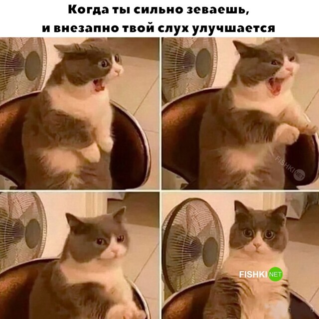 Скрины из соцсетей            