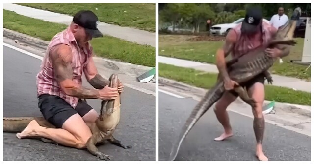 Боец ММА из Флориды одолел аллигатора голыми руками
