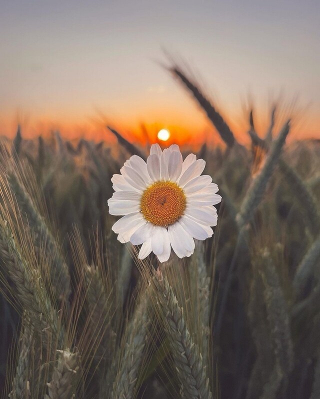 Всё вразнобой 