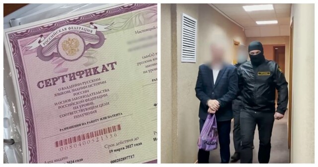 В Смоленской области задержали директора института за выдачу липовых сертификатов мигрантам о знании русского языка