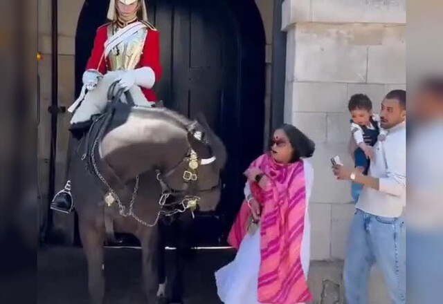 Лошадь Королевской гвардии укусила туристку, когда она позировала рядом для фото