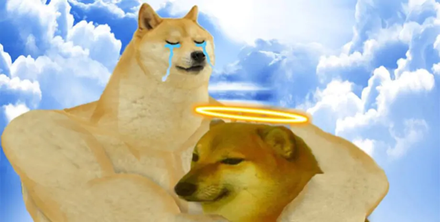 Скончалась сиба-ину по кличке Кабосу, ставшая символом мема Doge и криптовалюты Dogecoin