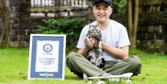 Китайский кот установил мировой рекорд по скорости езды на скейтборде
