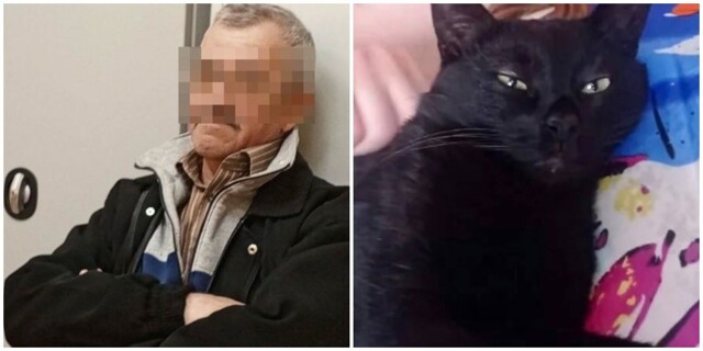 В Туле пенсионер заплатит 15 тысяч за убийство кота по кличке Котэ, который съел его еду