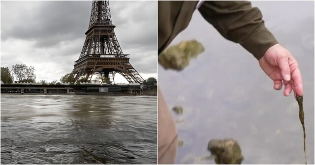50 тысяч кубометров сточных вод попали в Сену