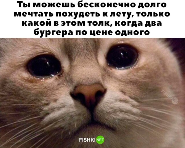 Скрины из соцсетей            