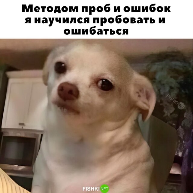 Скрины из соцсетей            