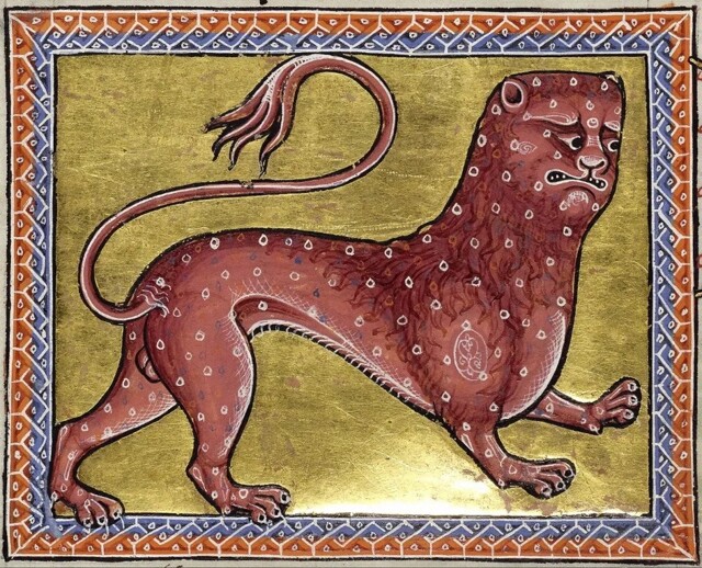 Как в Средние века художники рисовали животных, которых никогда не видели