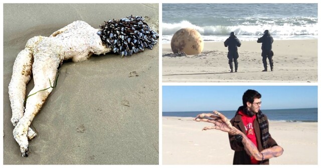 17 странных штуковин, выброшенных на берег
