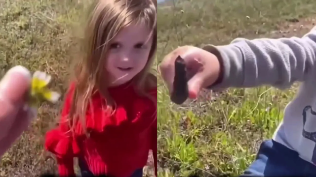 На видео сняли фундаментальное отличие девочек от мальчиков